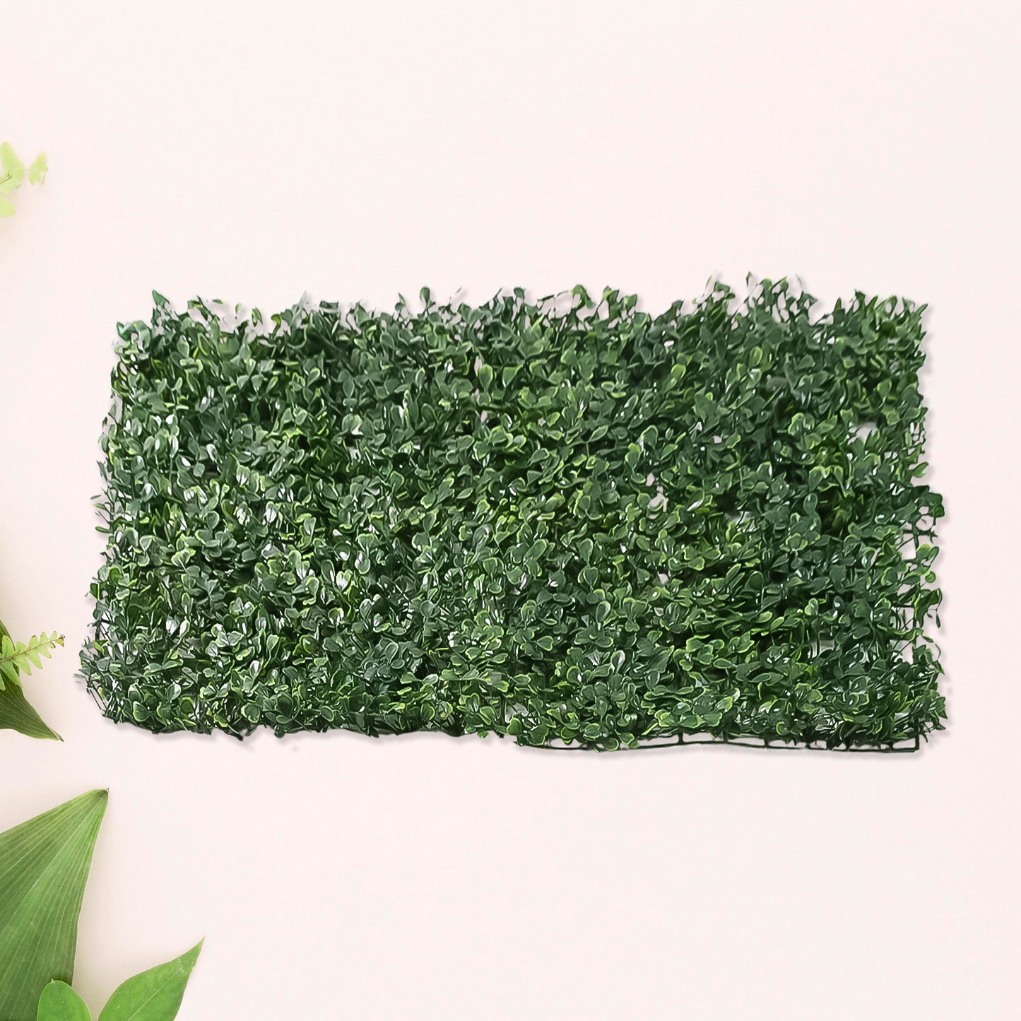 Plastic Wall Artificial Plant Base (6040 Cm 1 Pc)