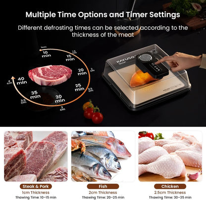 Rechargeable Quick Defrosting Tray with Lid