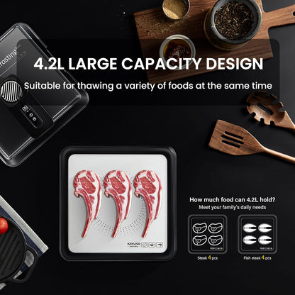 Rechargeable Quick Defrosting Tray with Lid