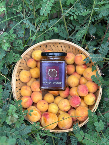 Apricot Chutney