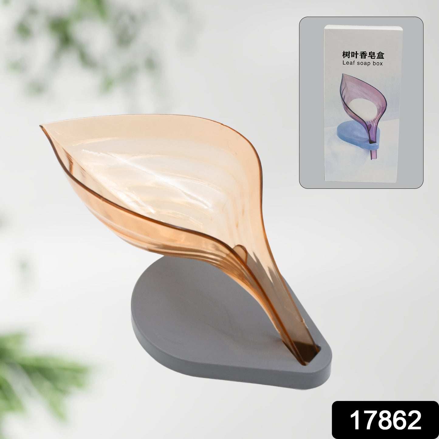 Plasticleaf Shape Soap Box  Soap Holder (1 Pc  With Color Box)