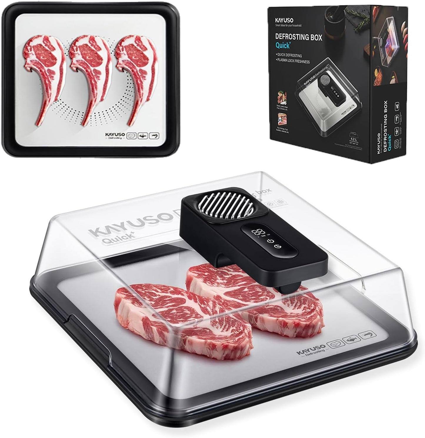 Rechargeable Quick Defrosting Tray with Lid