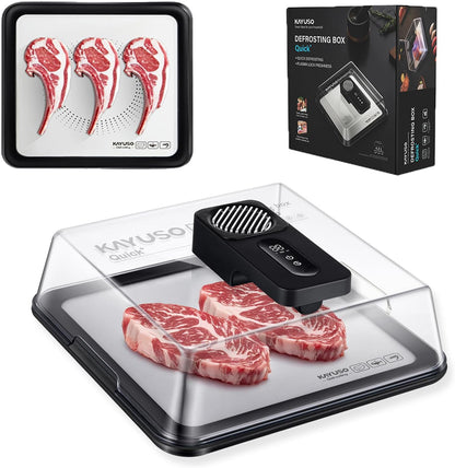 Rechargeable Quick Defrosting Tray with Lid