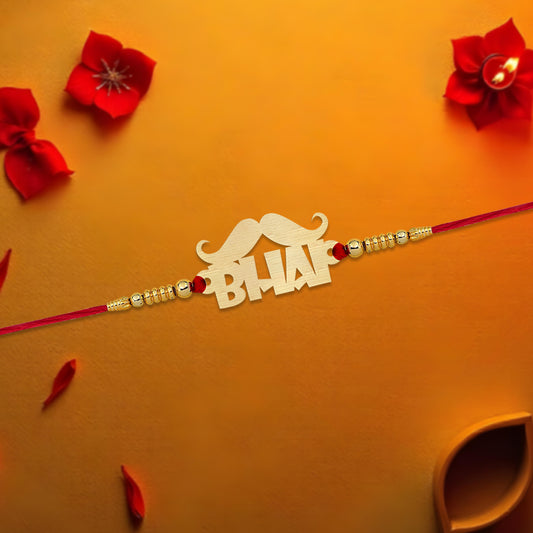 Bhai Ki Rakhi Love Protection And Laughter