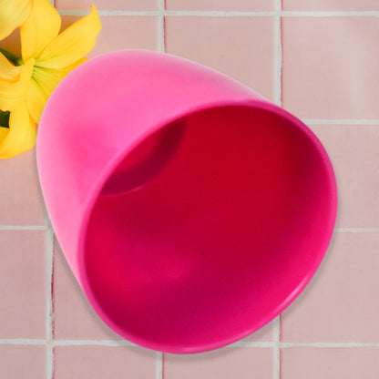 Plastic Flower Valencia (Pot) Home And Outdoor (1 Pcmix Colour)