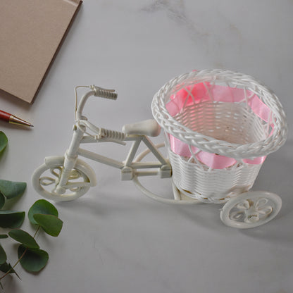 Plastic Cycle Flower Vases For Home Decor Bicycle Flower Pot Stand (1 Pc)